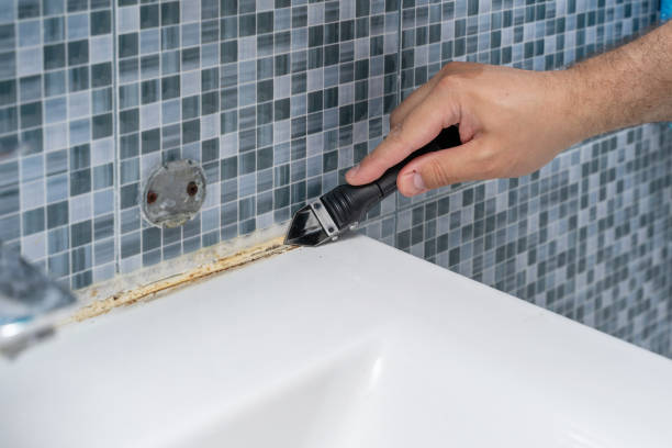 Best Same-Day Mold Removal  in North Manchester, IN