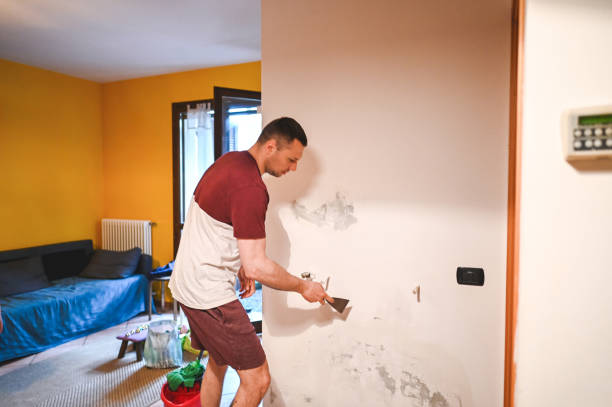 Best Mold Testing  in North Manchester, IN